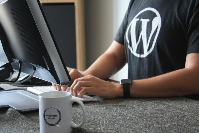 Programadores WordPress desarrollando plugins